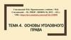 Основы уголовного права. Понятие уголовного права