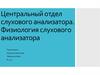 Центральный отдел слухового анализатора. Физиология слухового анализатора