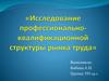 Исследование профессионально-квалификационной структуры рынка труда