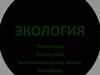 Экология. Популяция. Экосистема. Биогеохимические циклы. Биосфера