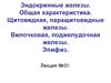 Эндокринные железы. Общая характеристика
