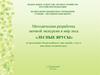 Методическая разработка заочной экскурсии в мир леса «Лесные ярусы». Часть 1