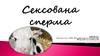 Сексована сперма
