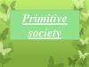 Primitive society