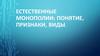 Естественные монополии: понятие, признаки, виды