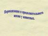 Периодизация и  продолжительность жизни у  животных