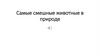 Самые смешные животные в природе