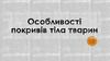 Покриви тіла тварин. Функції покривів