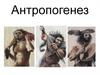 Антропогенез. Происхождение человека