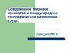 Современное Мировое хозяйство и международное географическое разделение труда. Лекция № 8