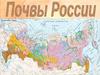 Почвы России