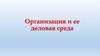 Организация и ее деловая среда