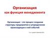Организация как функция менеджмента