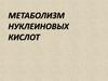 Метаболизм нуклеиновых кислот