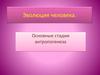 Эволюция человека. Стадии антропогенеза