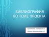 Библиография по теме проекта