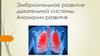 Эмбриональное развитие дыхательной системы. Аномалии развития