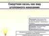 Смертная казнь как вид уголовного наказания
