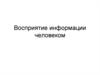 Восприятие информации человеком