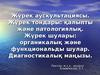 Жүрек аускультациясы. Жүрек тондары: қалыпты және патологиялық. Жүрек шулары: органикалық және функциональды шулар
