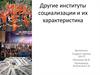 Другие институты социализации и их характеристика