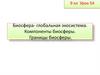 Биосфера - глобальная экосистема. Компоненты биосферы. Границы биосферы
