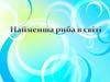 Найменша риба в світі