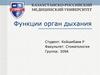 Функции органов дыхания. Дыхательная система
