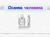 Осанка человека