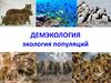 Демэкология. Экология популяций