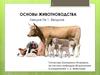 Основы животноводства. Вводная лекция