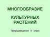 Многообразие культурных растений