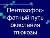 Пентозофосфатный путь окисления глюкозы