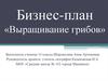 Бизнес-план «Выращивание грибов»