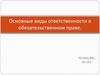 Основные виды ответственности в обязательственном праве
