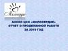 Отчет о работе за 2019. АНСОО ЦСО «Милосердие»
