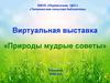 Виртуальная выставка «Природы мудрые советы»