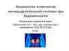 Физиология и патология мочевыделительной системы при беременности