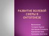 Развитие волевой сферы в онтогенезе