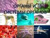 Органы и системы органов