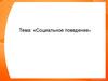 Социальное поведение