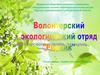Волонтерский экологический проект «Родник»