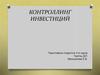 Контроллинг инвестиций