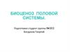 Биоценоз половой системы