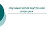 Функции желёз внутренней секреции