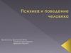 Психика и поведение человека
