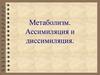 Метаболизм. Ассимиляция и диссимиляция
