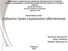 Субъекты социального обеспечения