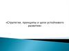 Стратегия, принципы и цели устойчивого развития