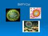 Вирусы. Особенности вирусов